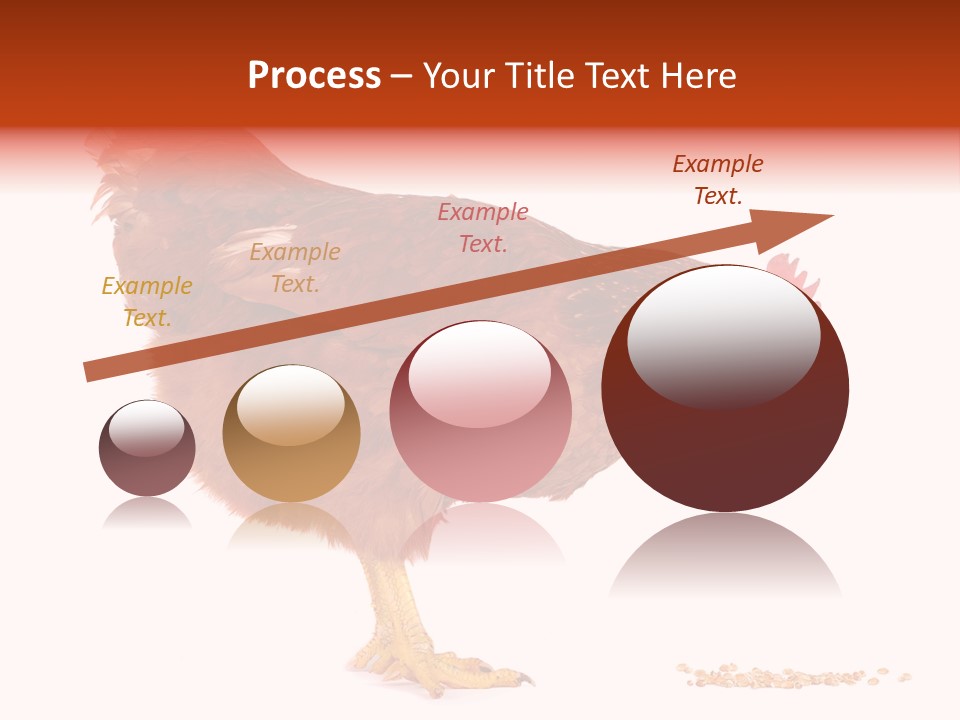 Chicken Bird Wheat PowerPoint Template