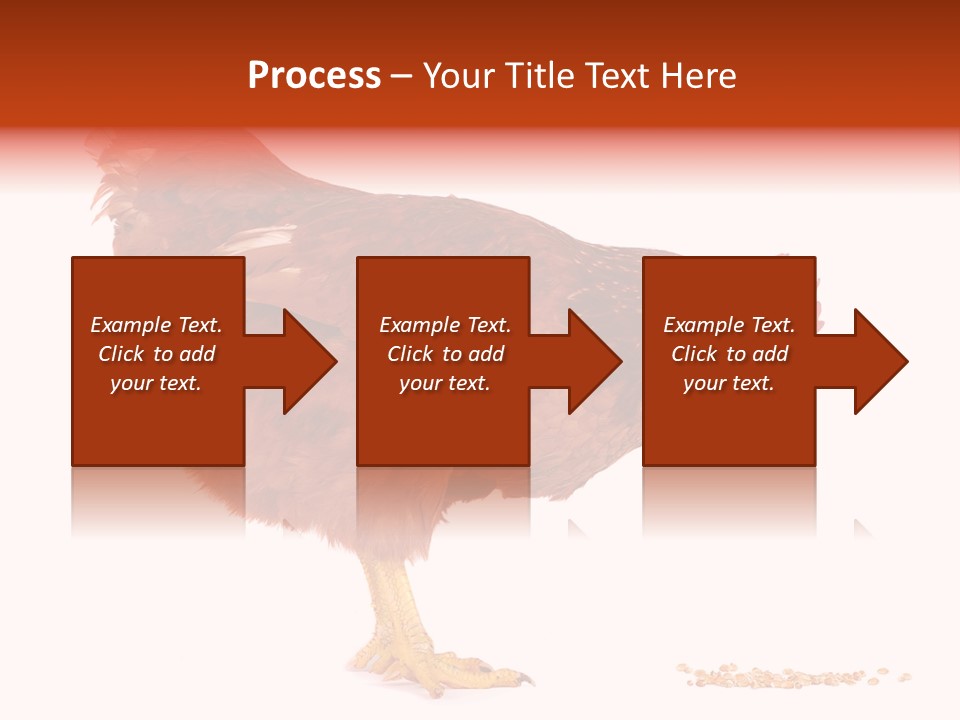 Chicken Bird Wheat PowerPoint Template
