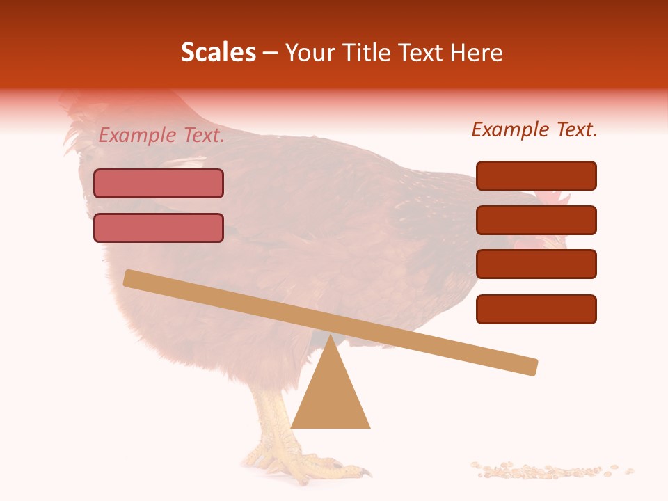 Chicken Bird Wheat PowerPoint Template