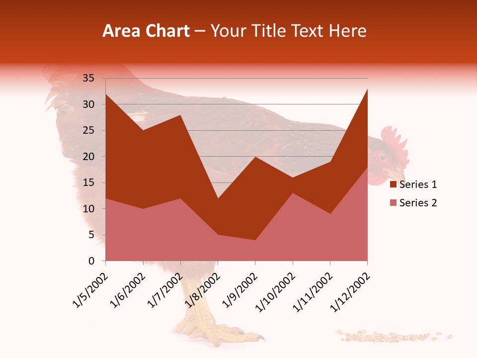 Chicken Bird Wheat PowerPoint Template