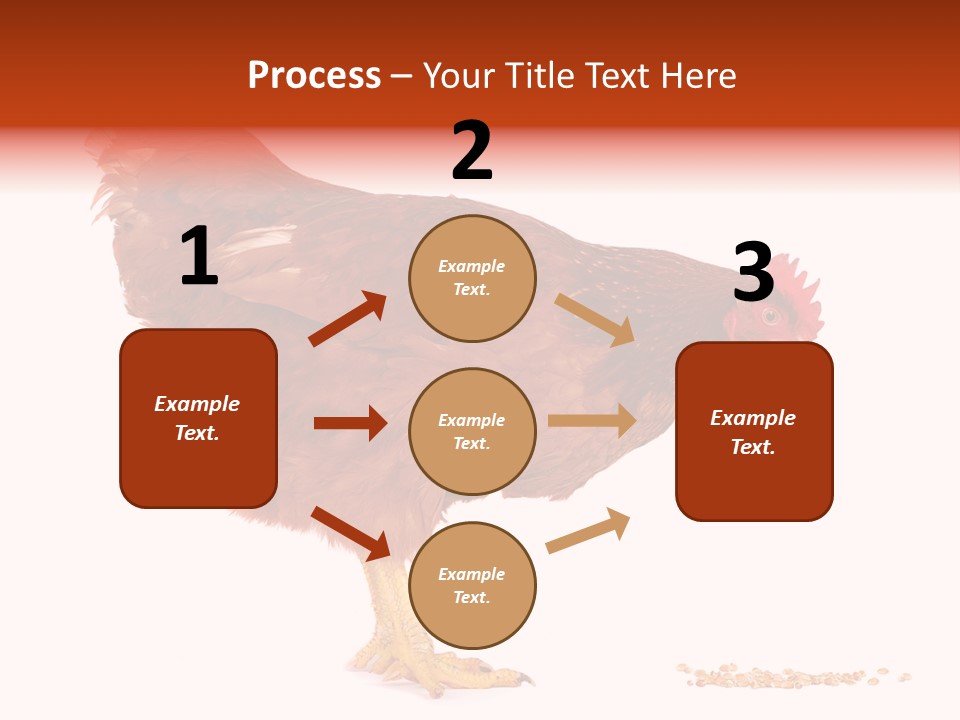 Chicken Bird Wheat PowerPoint Template