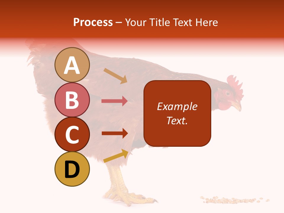 Chicken Bird Wheat PowerPoint Template