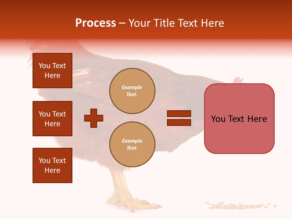 Chicken Bird Wheat PowerPoint Template