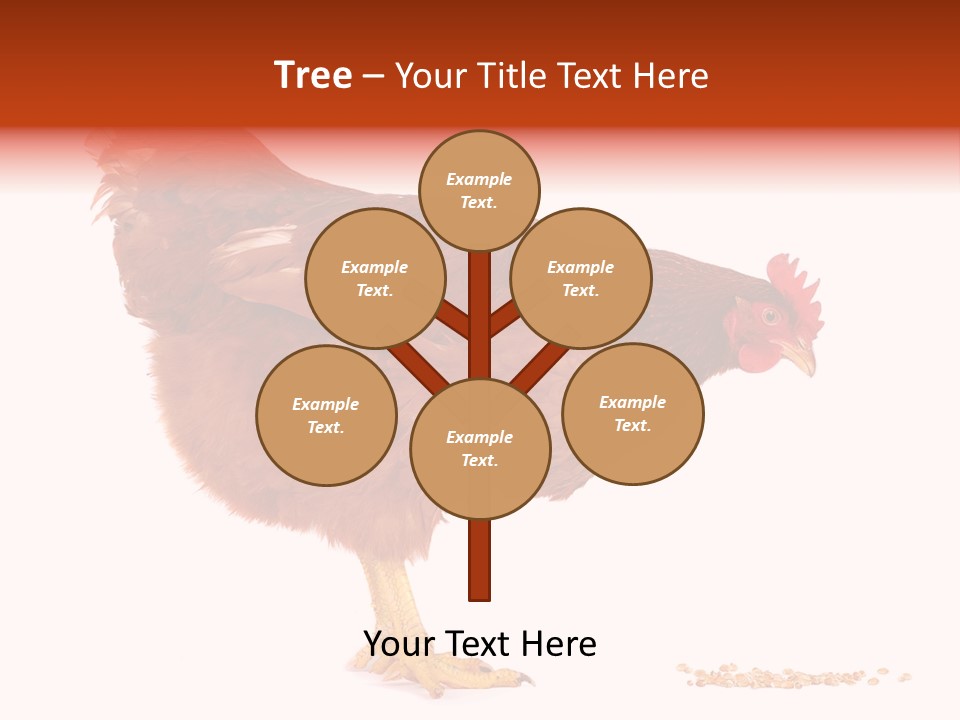 Chicken Bird Wheat PowerPoint Template