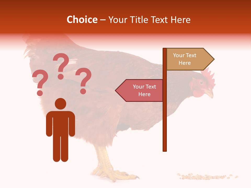 Chicken Bird Wheat PowerPoint Template