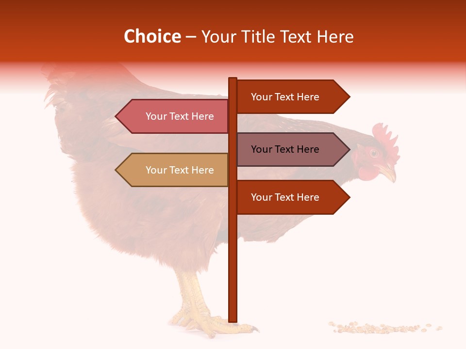 Chicken Bird Wheat PowerPoint Template