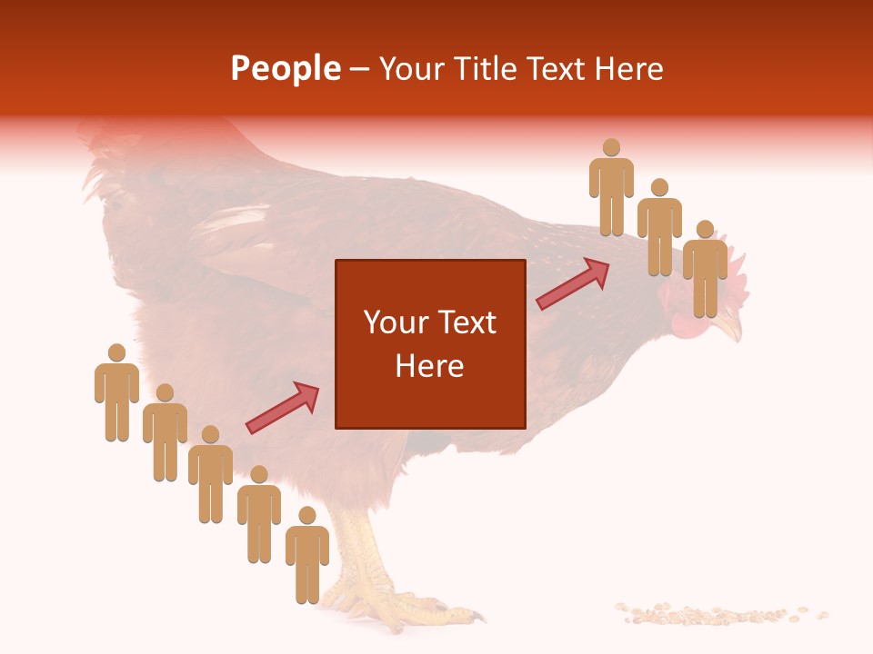 Chicken Bird Wheat PowerPoint Template