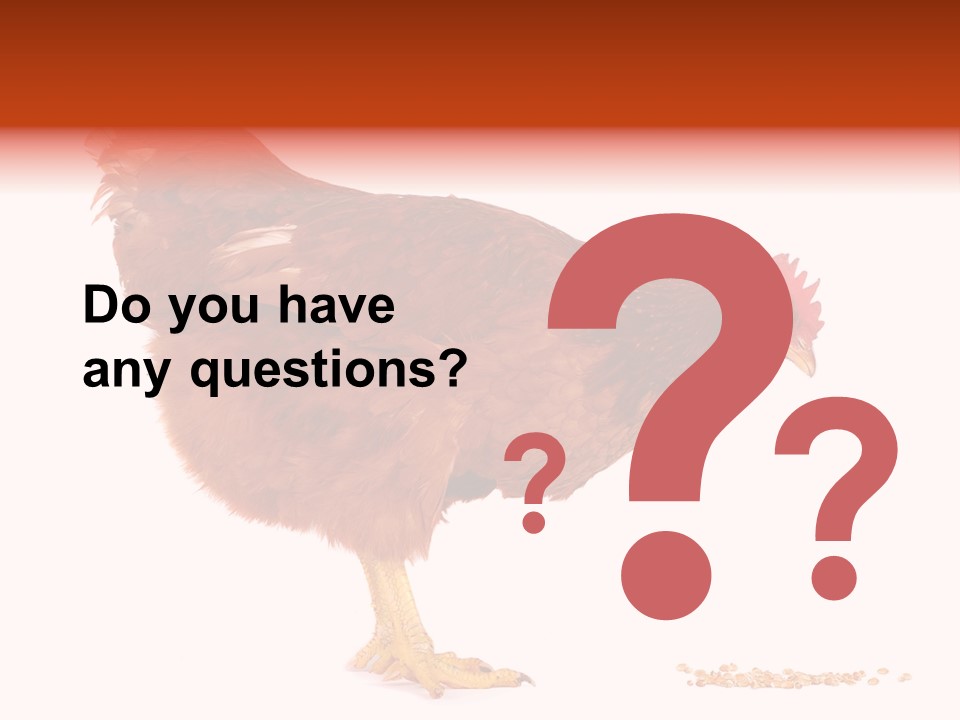Chicken Bird Wheat PowerPoint Template
