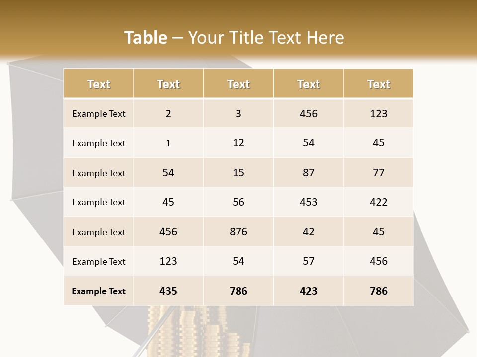 Umbrella Coins Conceptual PowerPoint Template