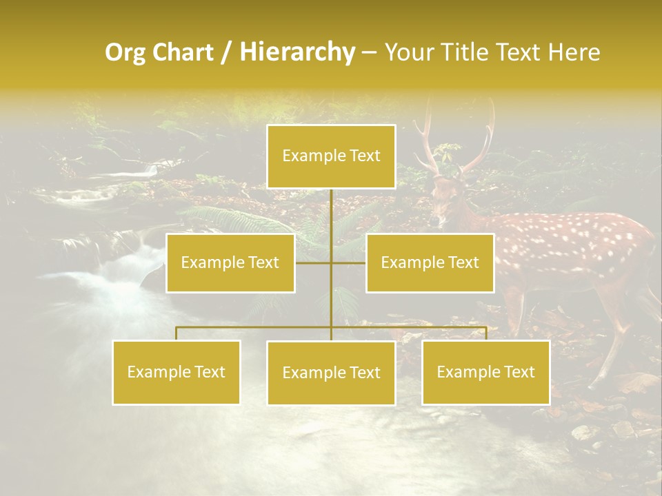 Water View Plant PowerPoint Template