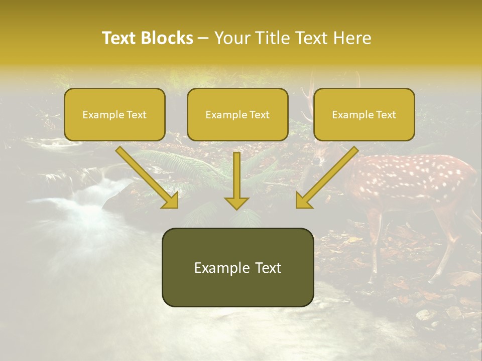 Water View Plant PowerPoint Template