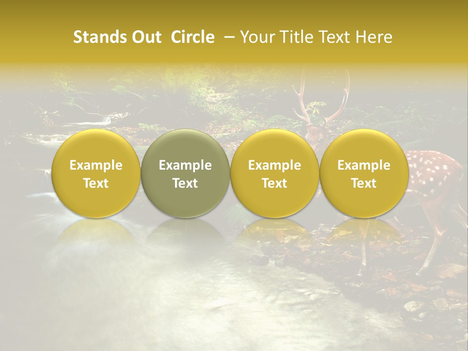 Water View Plant PowerPoint Template