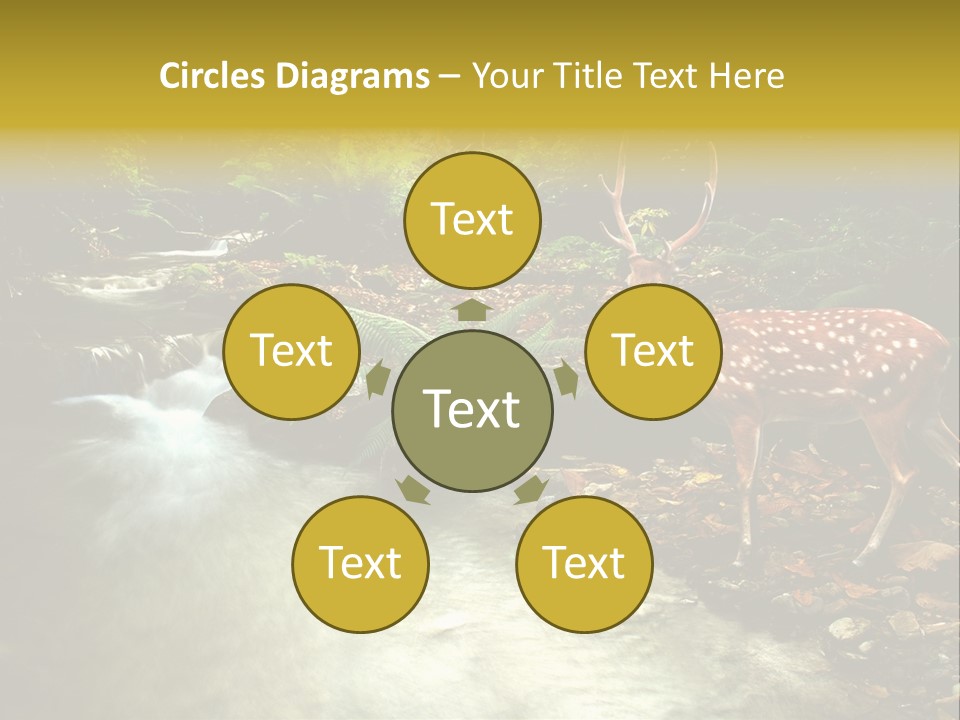 Water View Plant PowerPoint Template