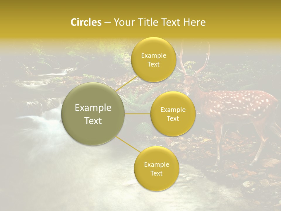 Water View Plant PowerPoint Template