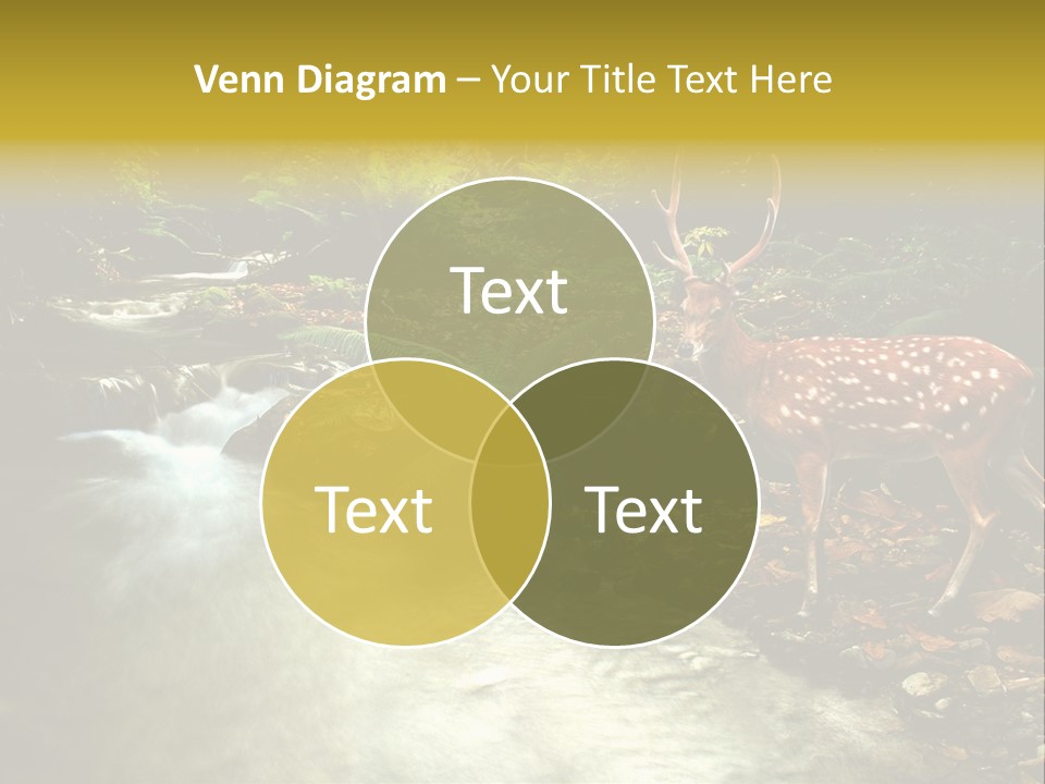 Water View Plant PowerPoint Template