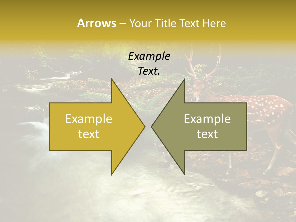 Water View Plant PowerPoint Template