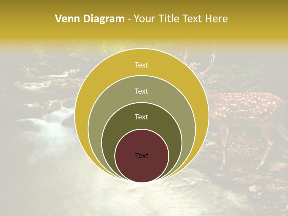 Water View Plant PowerPoint Template