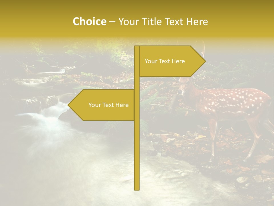 Water View Plant PowerPoint Template