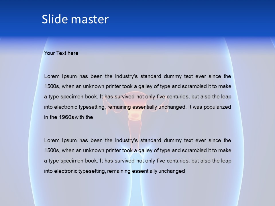 Pregnancy Torso Fallopian PowerPoint Template