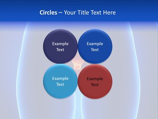 Pregnancy Torso Fallopian PowerPoint Template