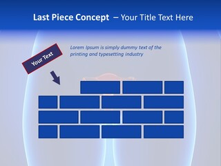 Pregnancy Torso Fallopian PowerPoint Template