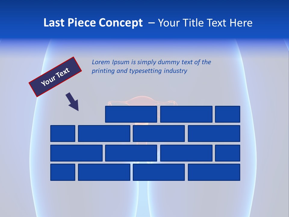 Pregnancy Torso Fallopian PowerPoint Template