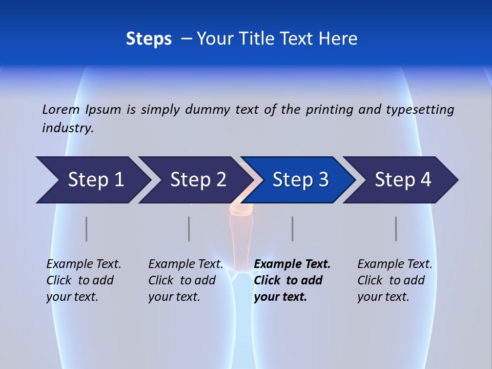Pregnancy Torso Fallopian PowerPoint Template