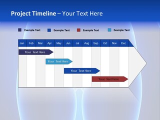 Pregnancy Torso Fallopian PowerPoint Template