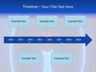 Pregnancy Torso Fallopian PowerPoint Template