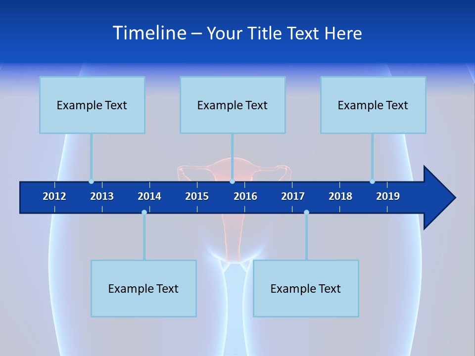 Pregnancy Torso Fallopian PowerPoint Template