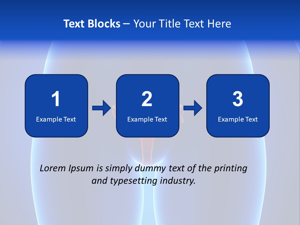Pregnancy Torso Fallopian PowerPoint Template