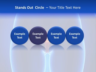 Pregnancy Torso Fallopian PowerPoint Template