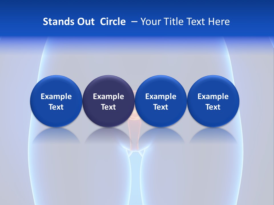 Pregnancy Torso Fallopian PowerPoint Template