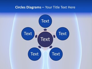 Pregnancy Torso Fallopian PowerPoint Template