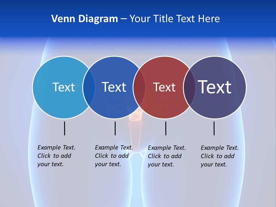 Pregnancy Torso Fallopian PowerPoint Template