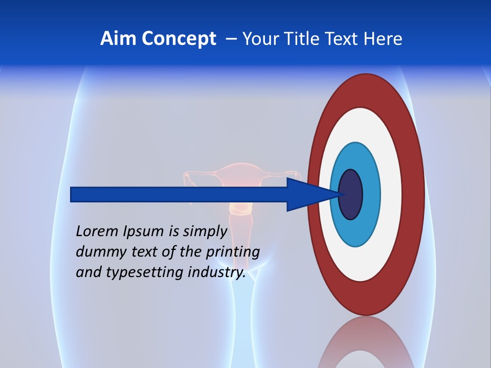 Pregnancy Torso Fallopian PowerPoint Template