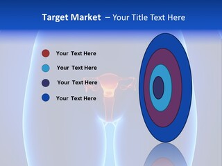 Pregnancy Torso Fallopian PowerPoint Template