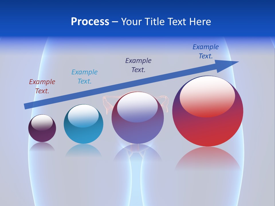 Pregnancy Torso Fallopian PowerPoint Template