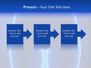 Pregnancy Torso Fallopian PowerPoint Template