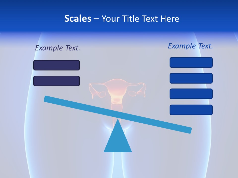 Pregnancy Torso Fallopian PowerPoint Template