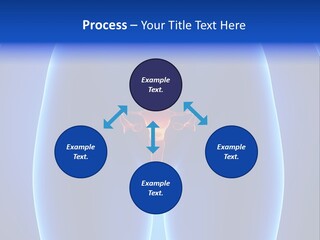 Pregnancy Torso Fallopian PowerPoint Template