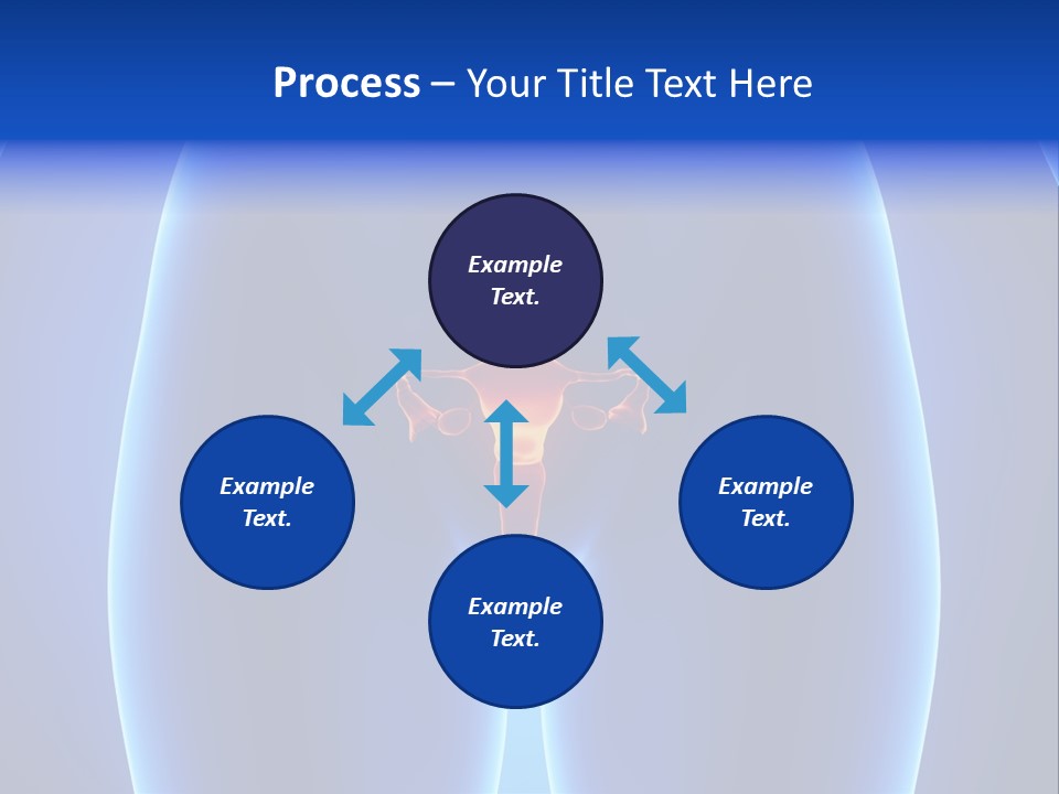 Pregnancy Torso Fallopian PowerPoint Template