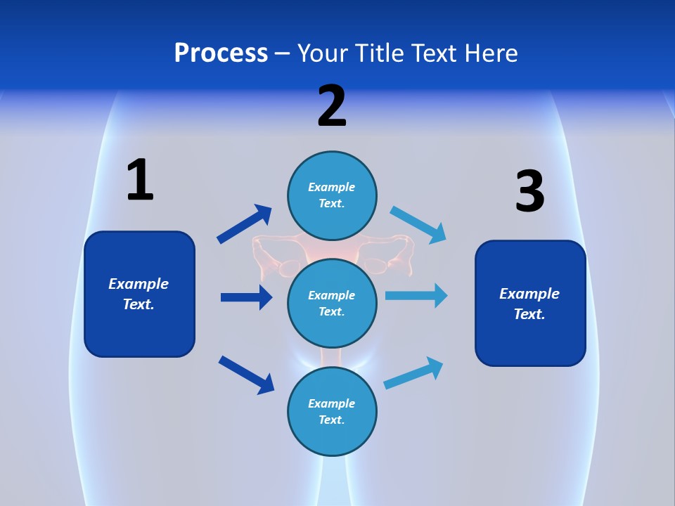 Pregnancy Torso Fallopian PowerPoint Template