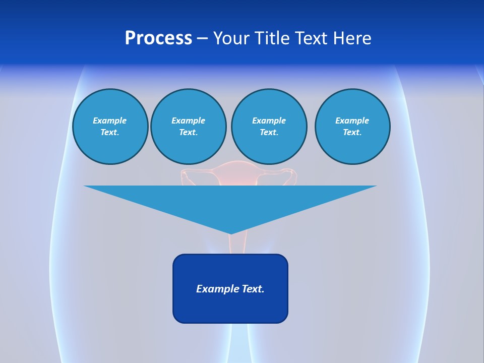 Pregnancy Torso Fallopian PowerPoint Template