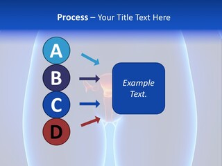 Pregnancy Torso Fallopian PowerPoint Template