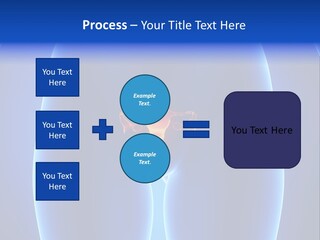 Pregnancy Torso Fallopian PowerPoint Template