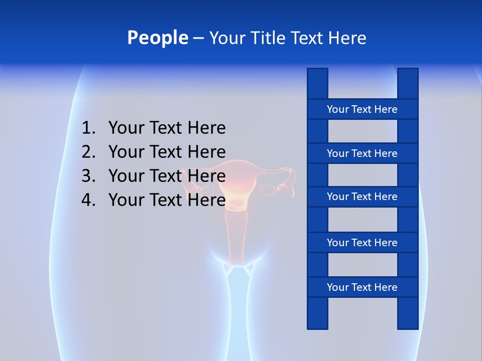 Pregnancy Torso Fallopian PowerPoint Template
