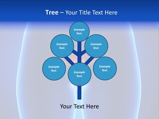 Pregnancy Torso Fallopian PowerPoint Template