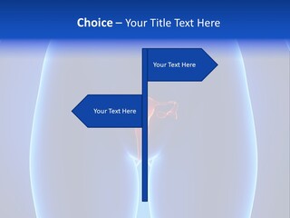 Pregnancy Torso Fallopian PowerPoint Template
