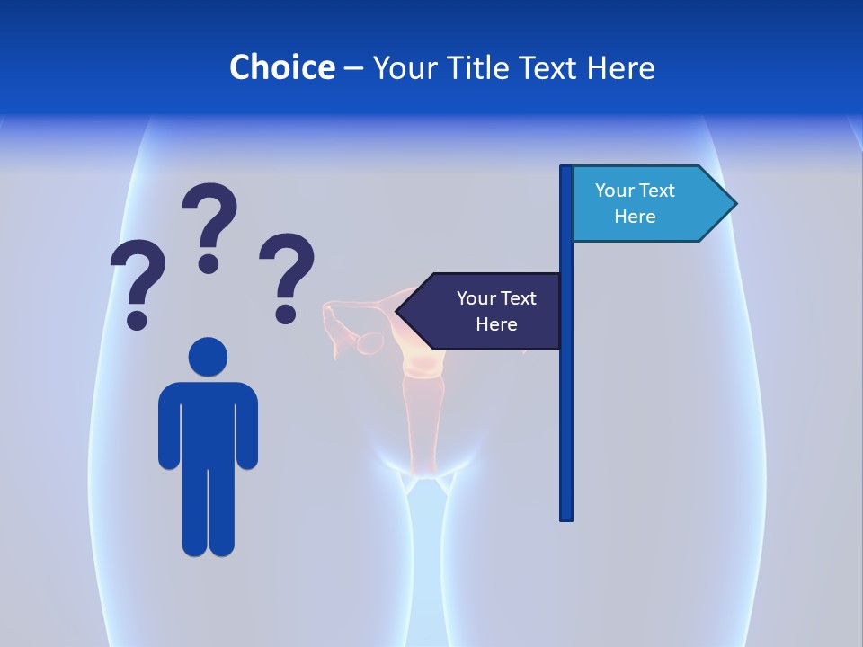 Pregnancy Torso Fallopian PowerPoint Template